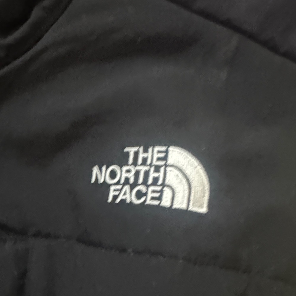 The North Face retro 1995 Sulphur Green Denali fleece Jacket size large - Picture 3 of 5